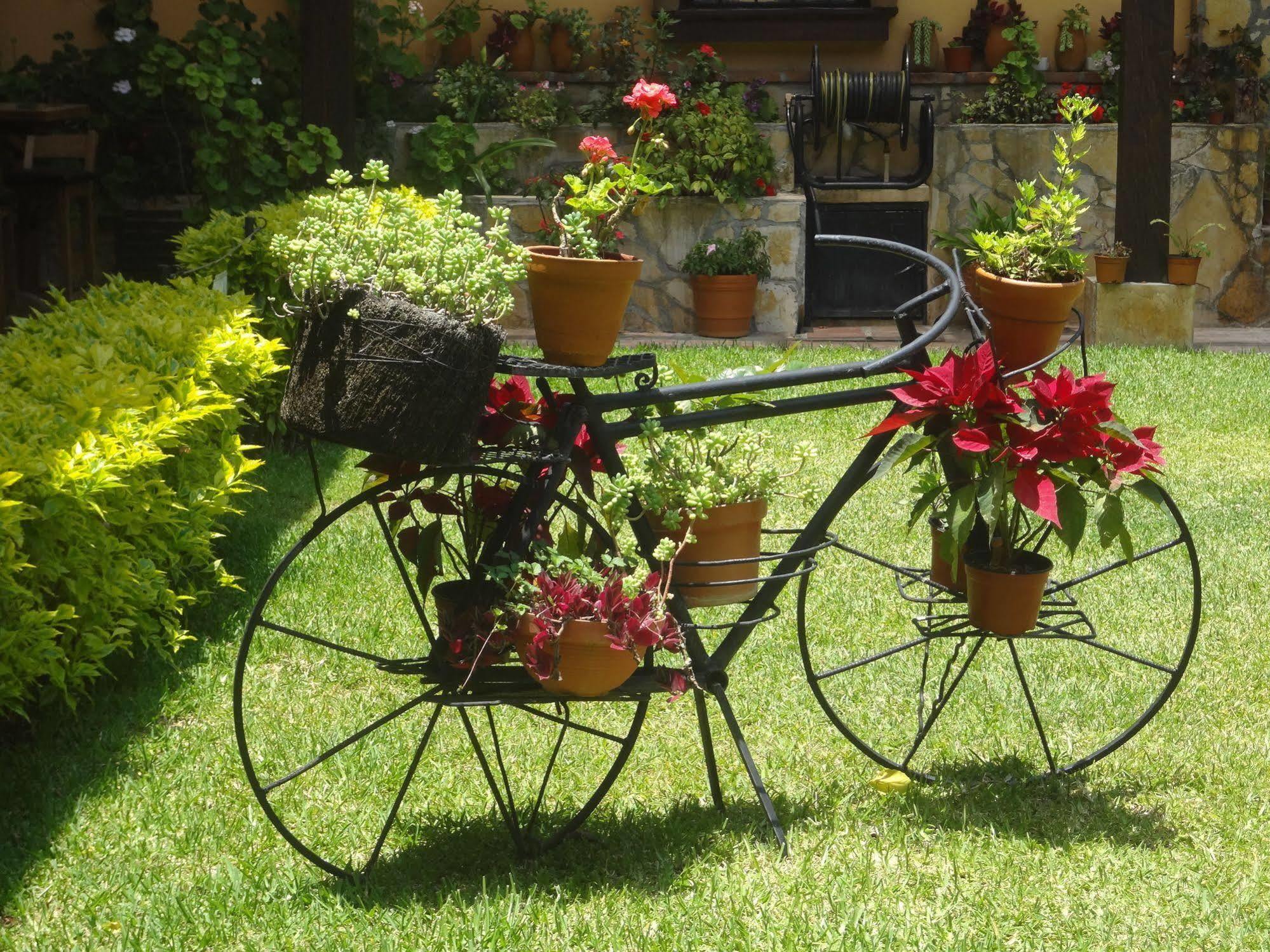 Nuestras Raices Hotel - Museo - Restaurante ซานกริสโตบัล เด ลาสกาซาส ภายนอก รูปภาพ